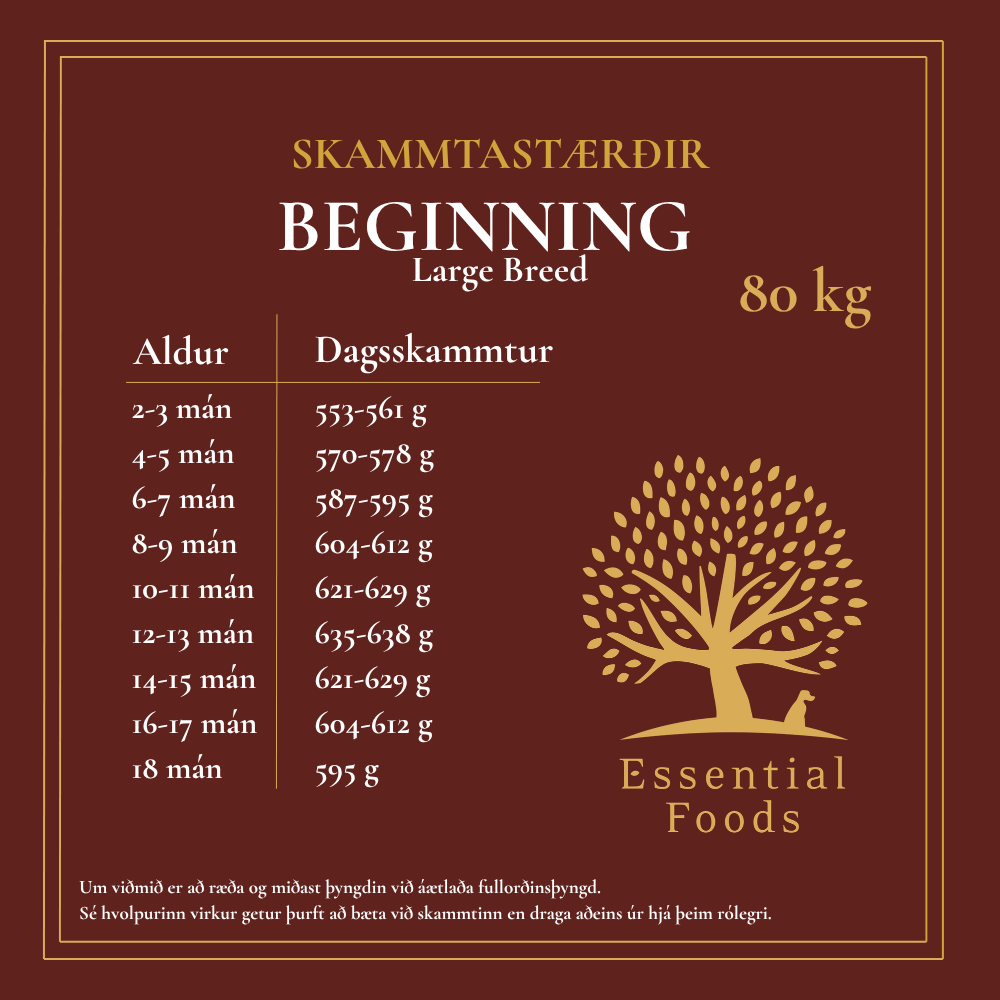 Beginning Large Breed 1kg