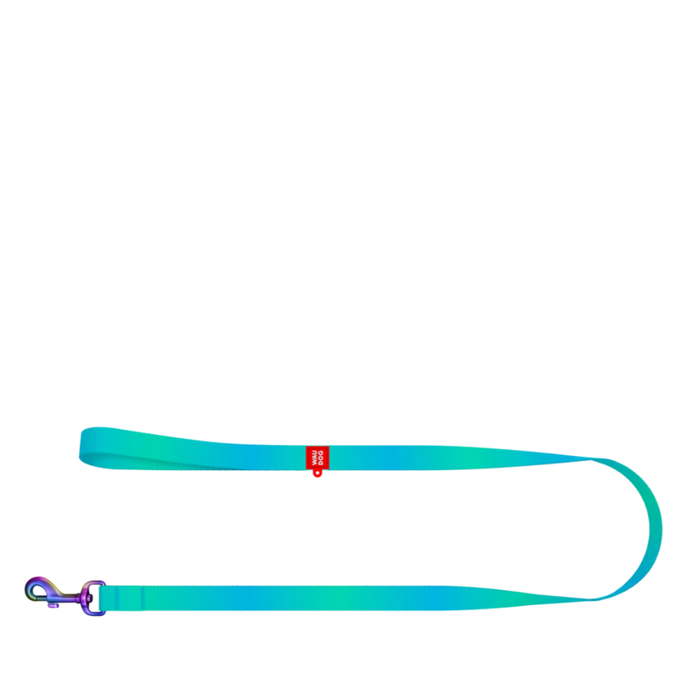 Leash M Gradient Blue 122cm