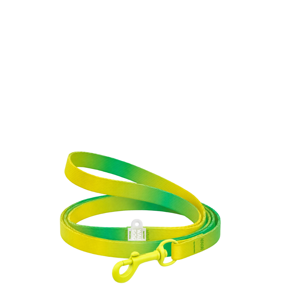 Leash XS Gradient Light Green