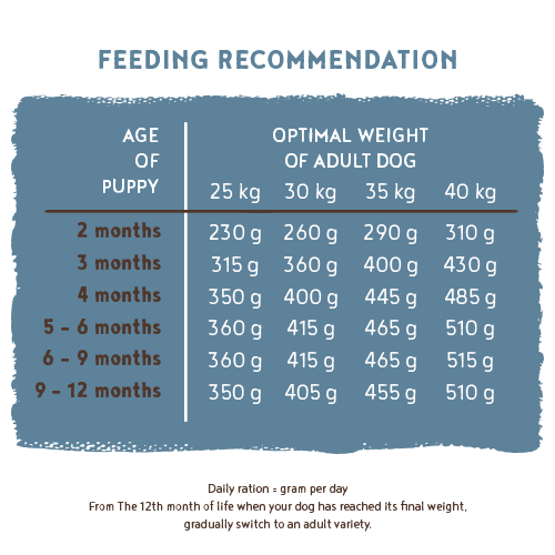 Maxi Junior 15kg