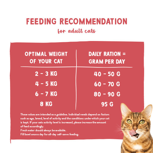 Sanabelle Gastrointestinal 2kg
