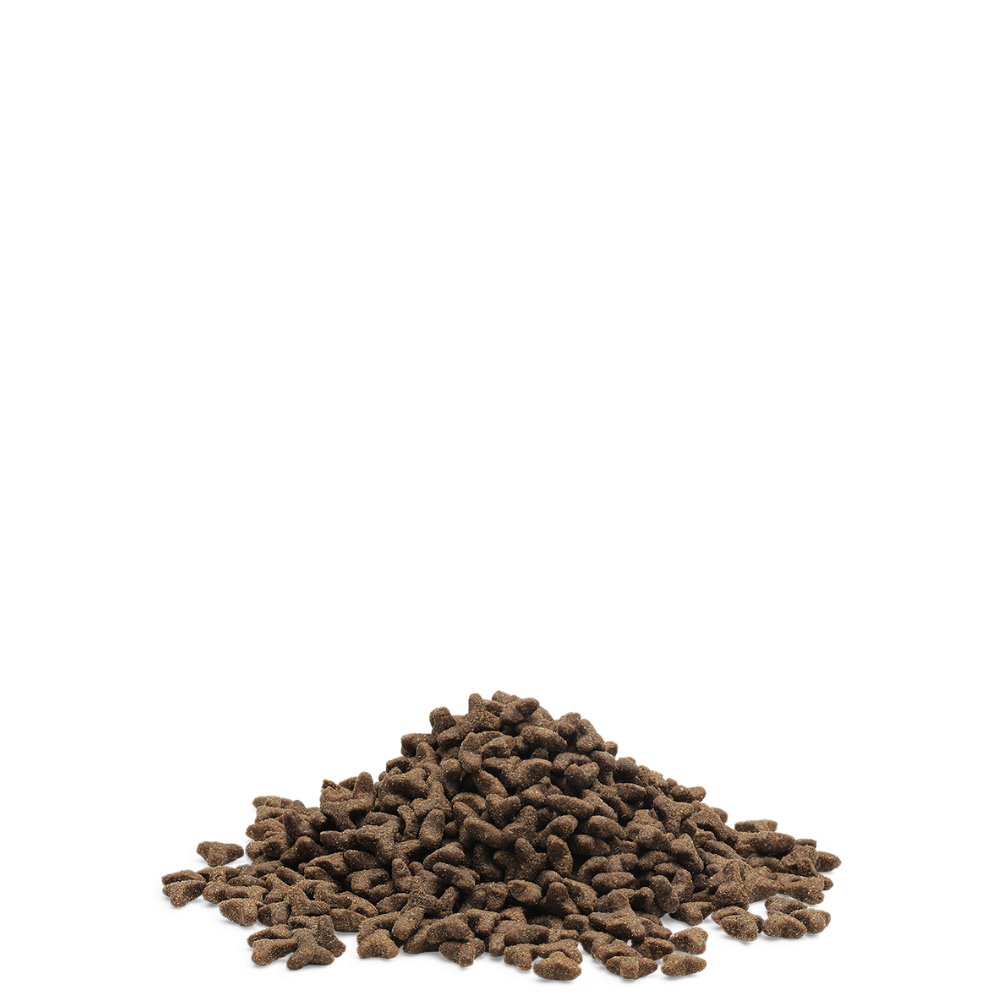Little Lion 1,5kg - Kettlingafóður