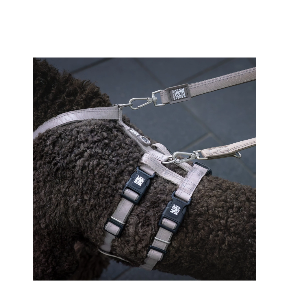 Multi Leash - Matrix 2.0 Sand - XS/S - 200cm