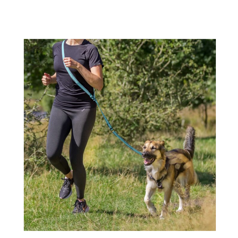 Jogging Leash 130-180cm