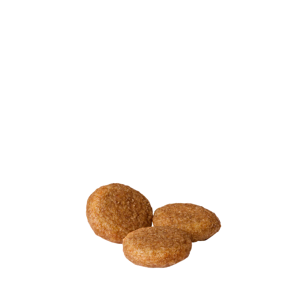 Medium Adult 15kg