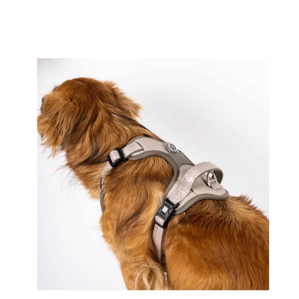 Sport Harness - Matrix 2.0 Sand - M