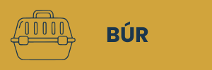 Búr