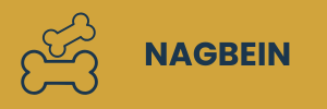 Nagbein
