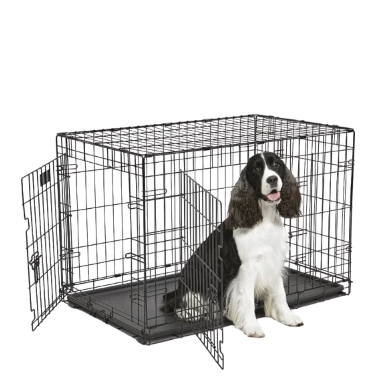 Heima & á ferðinni