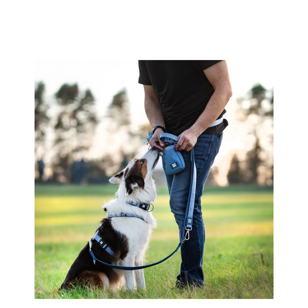 Multi-Function Leash - Matrix 2.0 Ocean - M/L