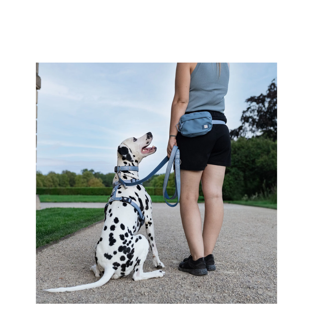 Multi-Function Leash - Matrix 2.0 Ocean - M/L