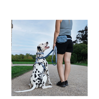 Multi-Function Leash - Matrix 2.0 Ocean - M/L