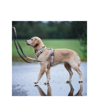 Smart ID Collar - Matrix 2.0 Sand - XS