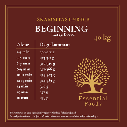 Beginning Large Breed 1kg