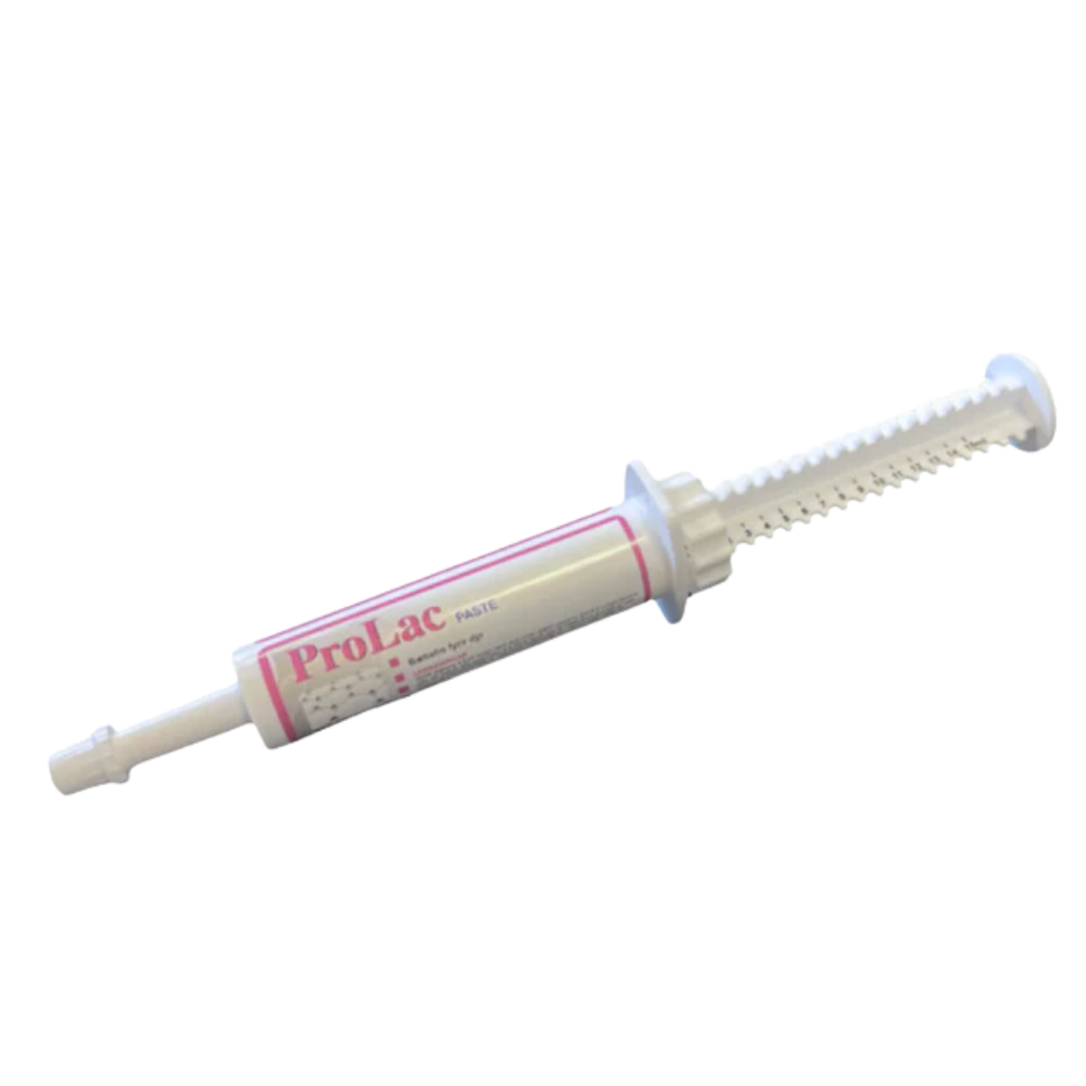 ProLac Paste 15ml