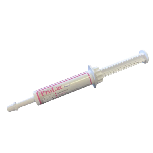 ProLac Paste 15ml