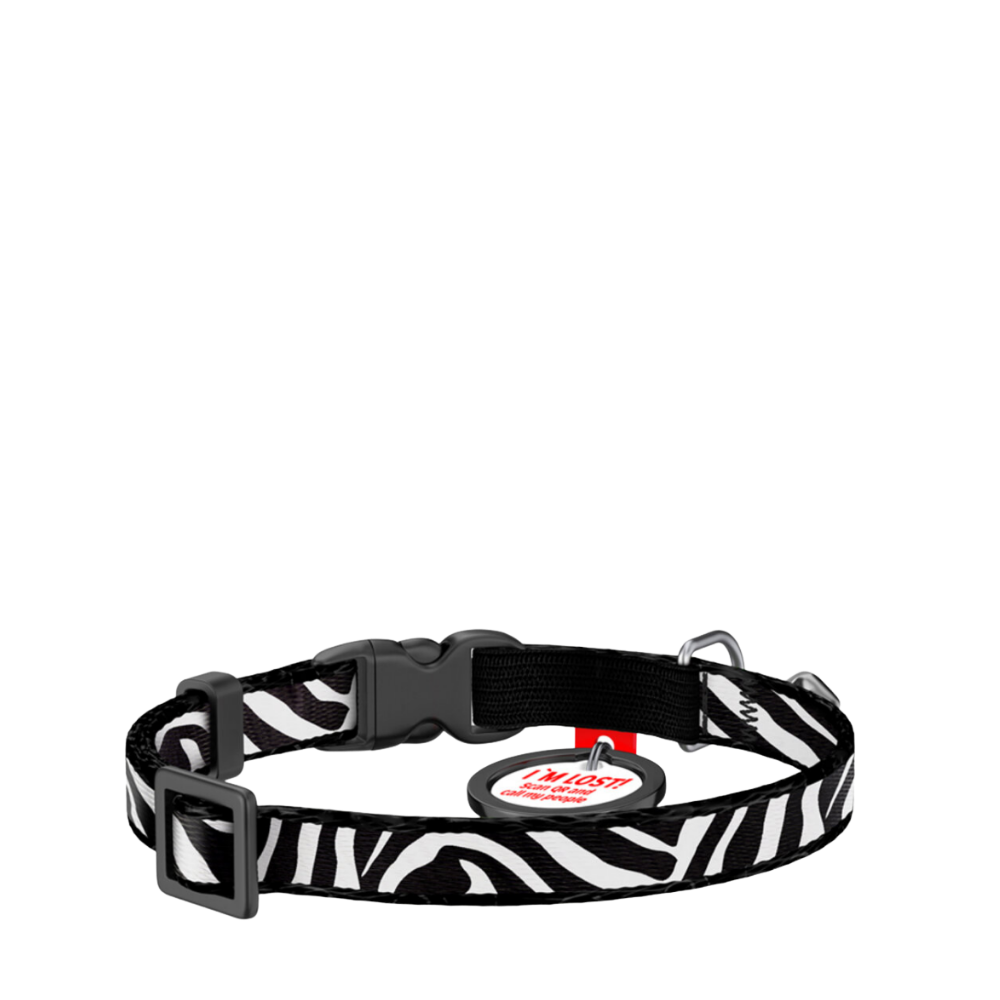 Cat Collar Zebra