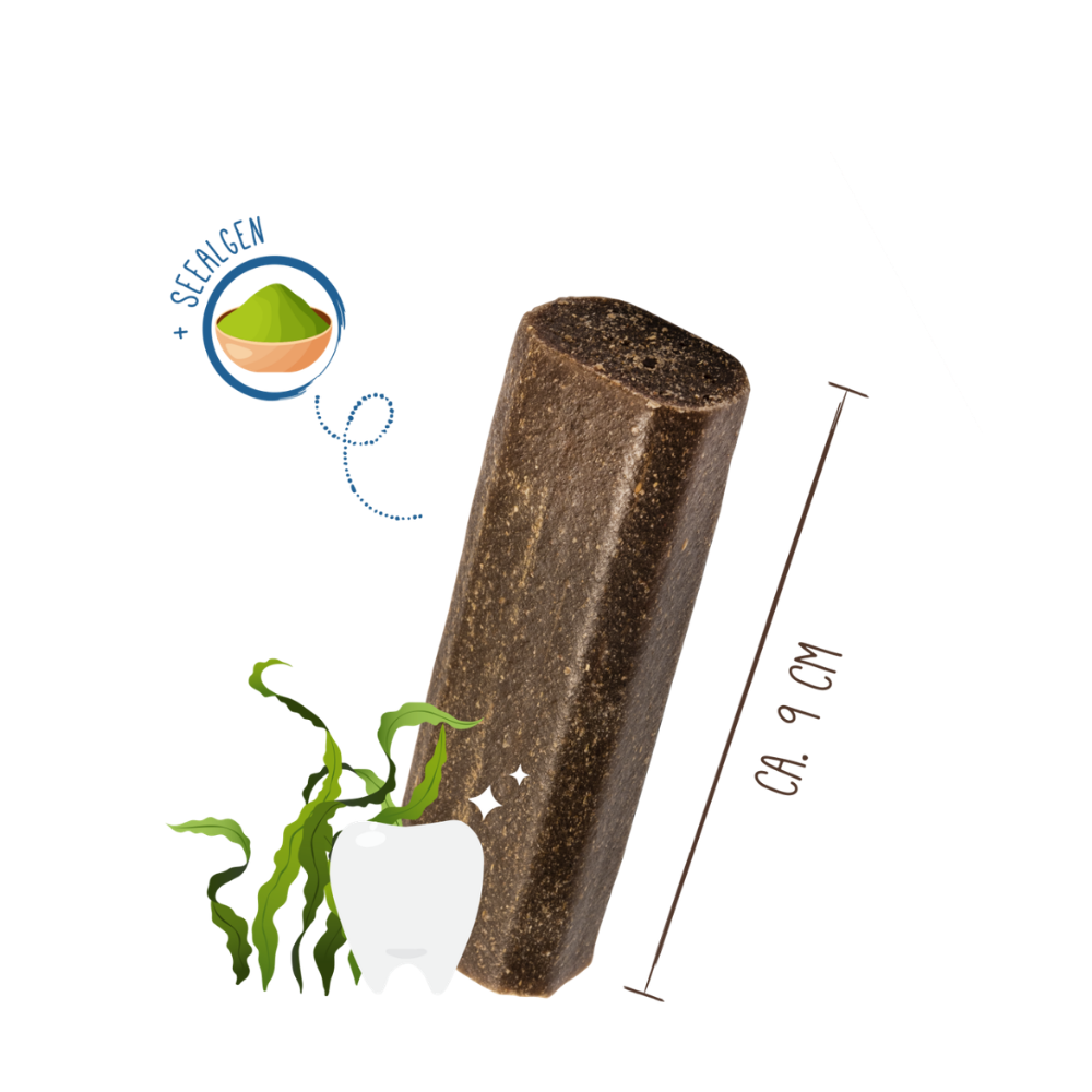 Sammy's Tooth Fairy 60g