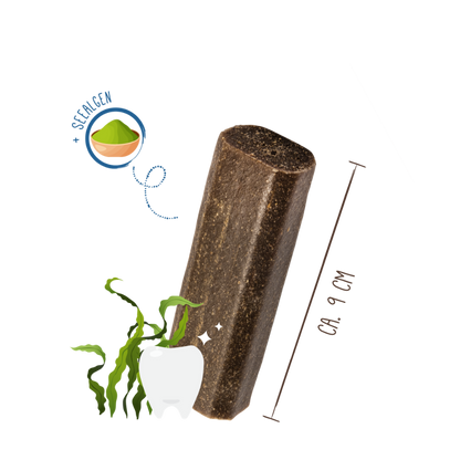 Sammy's Tooth Fairy 60g