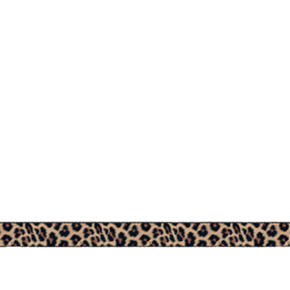 Cat Harness Leopard