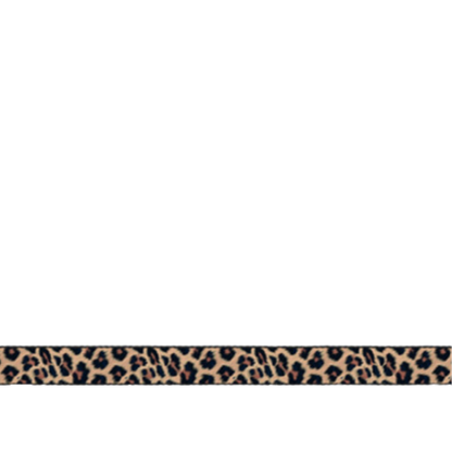 Cat Harness Leopard