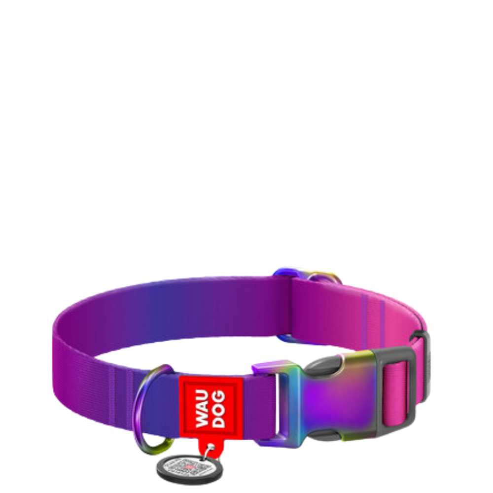 Collar S Gradient Purple