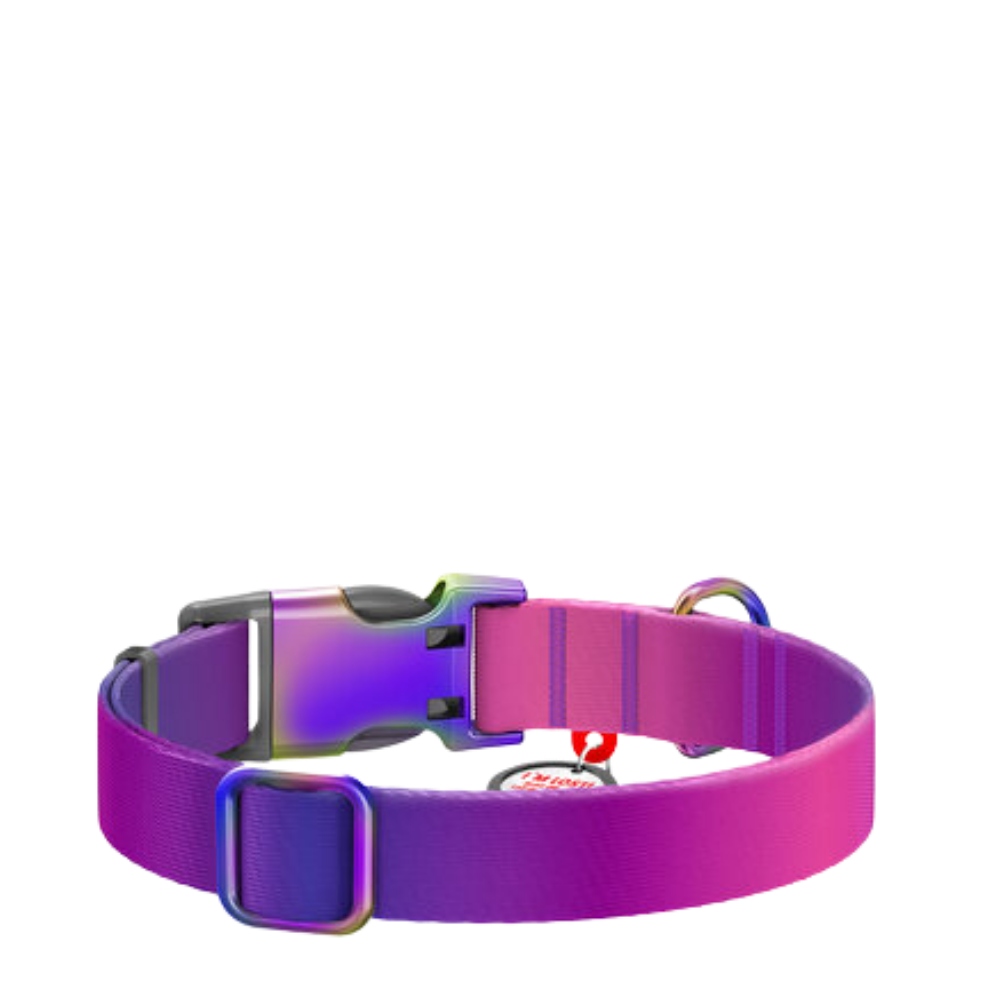 Collar XL Gradient Purple