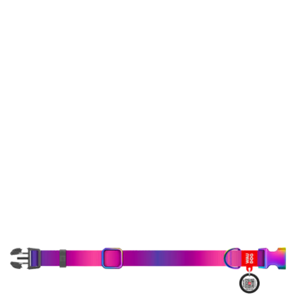 Collar S Gradient Purple
