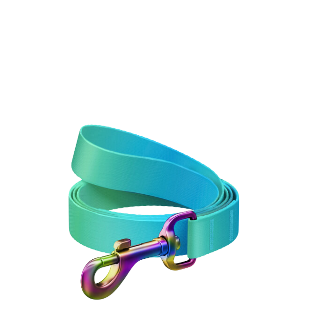 Leash S Gradient Blue 122cm