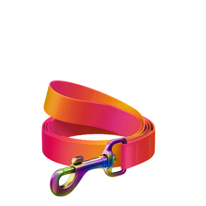 Leash S Gradient Orange 122cm