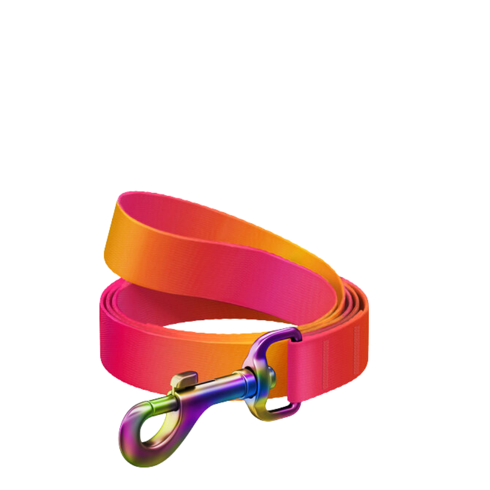 Leash L-XXL Gradient Orange 122cm