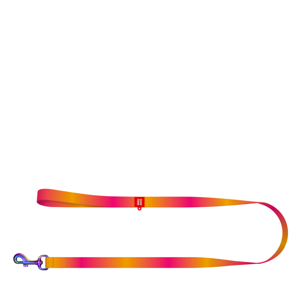 Leash S Gradient Orange 122cm