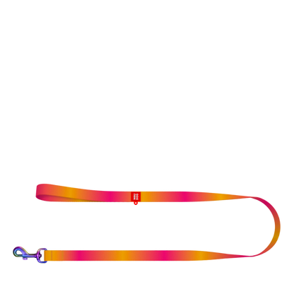 Leash S Gradient Orange 122cm