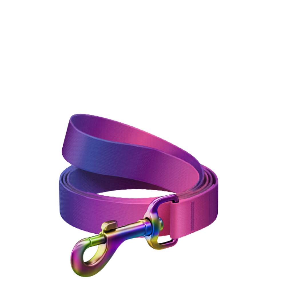 Leash S Gradient Purple 122cm