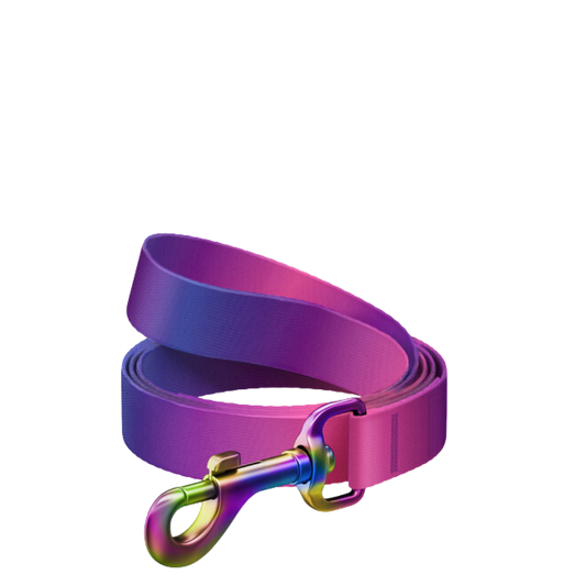 Leash S Gradient Purple 122cm