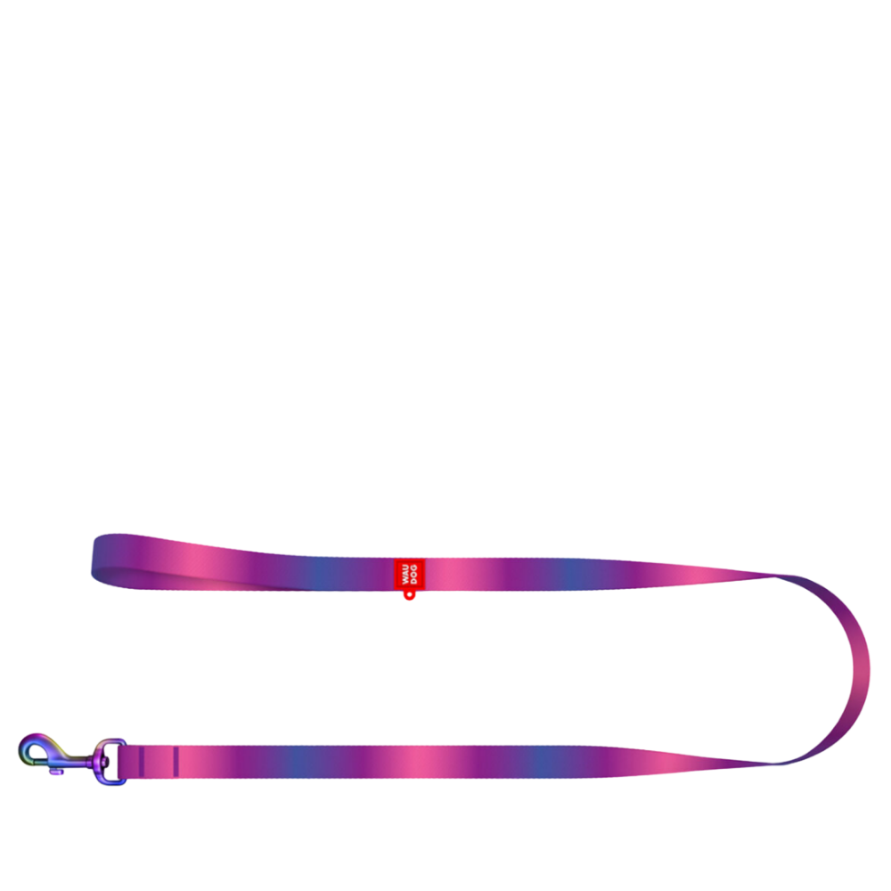 Leash S Gradient Purple 122cm