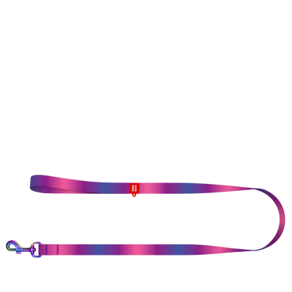 Leash M Gradient Purple 122cm