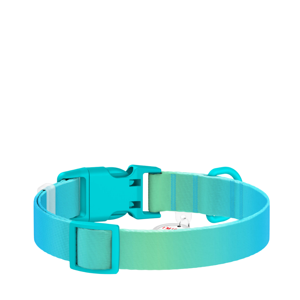 Collar L Gradient Blue PL