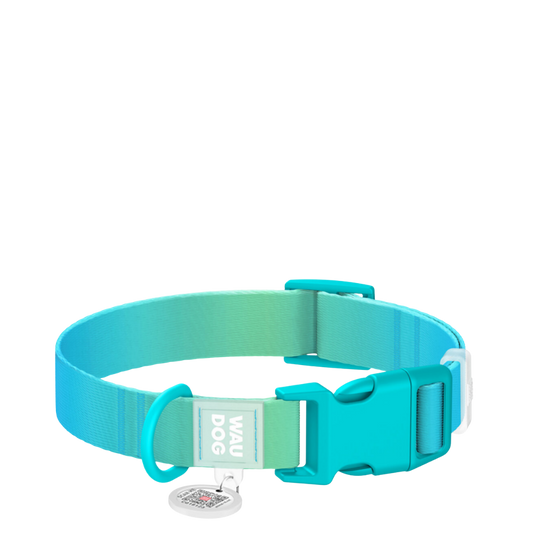 Collar L Gradient Blue PL