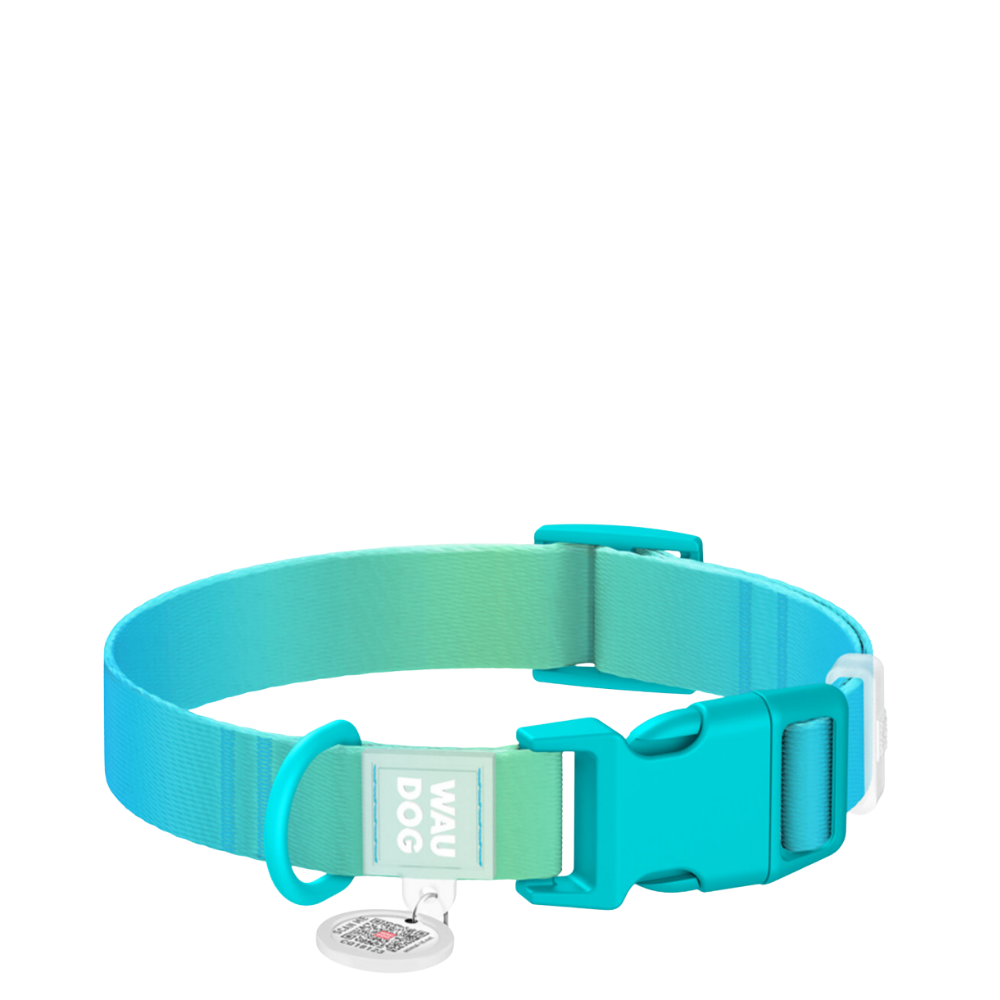 Collar XL Gradient Blue PL