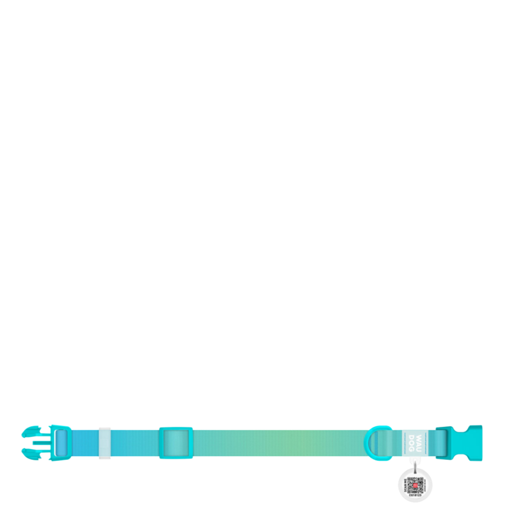 Collar XL Gradient Blue PL