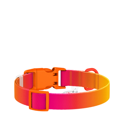 Collar M Gradient Orange PL