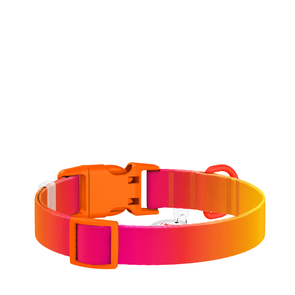 Collar XL Gradient Orange PL