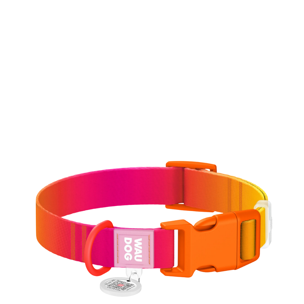 Collar S Gradient Orange PL