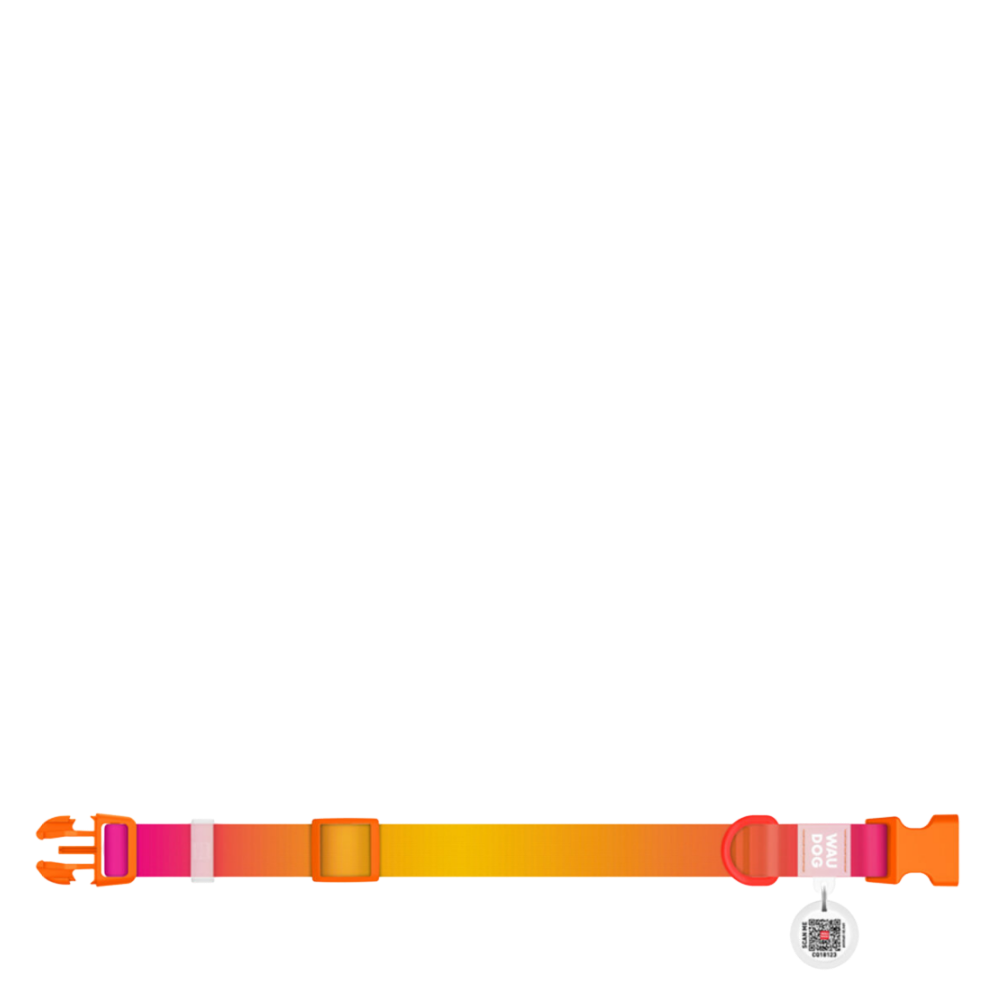 Collar M Gradient Orange PL