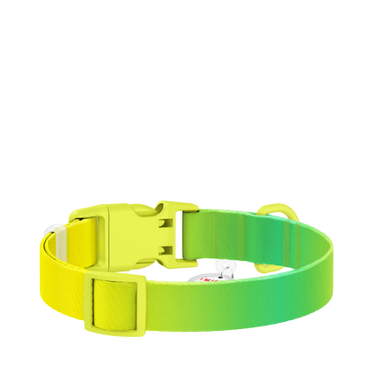 Collar S Gradient Light Green PL