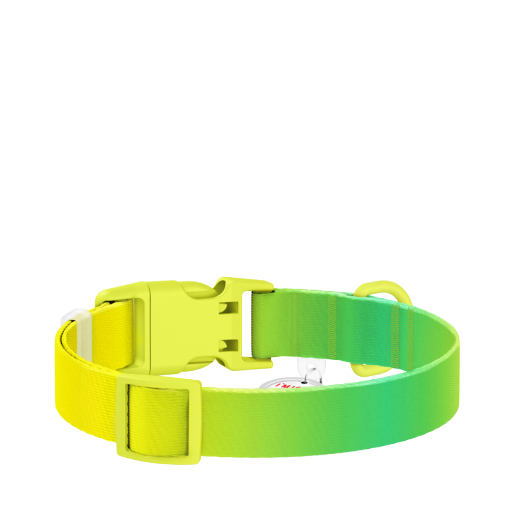 Collar XS Gradient Light Green PL