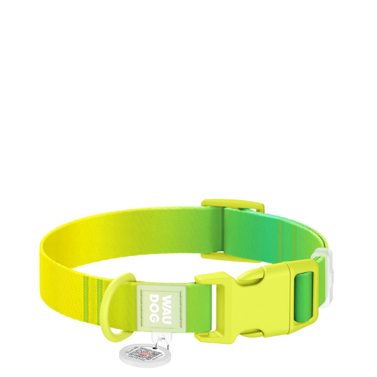 Collar S Gradient Light Green PL