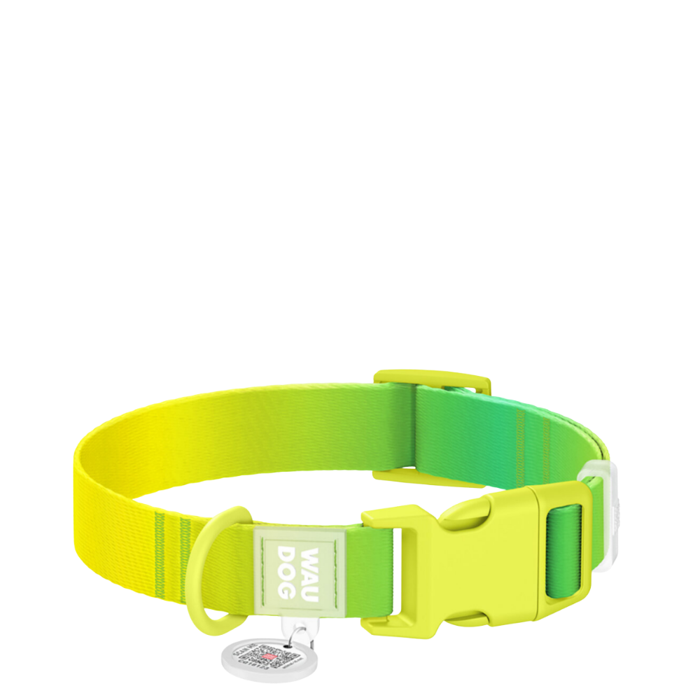 Collar XS Gradient Light Green PL