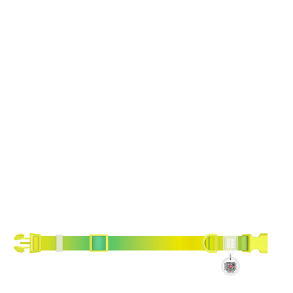 Collar S Gradient Light Green PL
